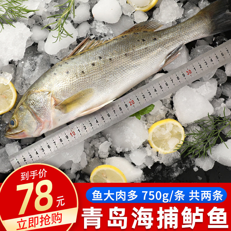 Sea Bass Fresh Sea Fishing Great Bass Fresh frozen deep sea fish Bass Fish Extra-large Strip Seafood Aquatic Products