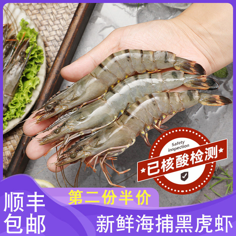 Prawn Fresh Black Tiger Shrimp Super Fresh Drawn Shrimp Seafood Aquatic Frozen Shrimp Tiger Shrimp Bamboo Shrimp