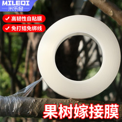 Special wrapping film for fruit tree grafting, grafting film, tree film tape, self-adhesive PE knot-free plastic film grafting tape