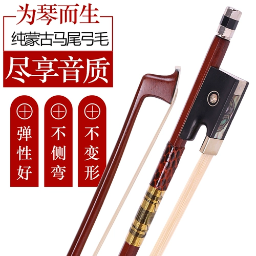 Скрипка GOW Performance Уровень 1: 4/4 4/4 Детский тикин GOW Professional Bow Bow