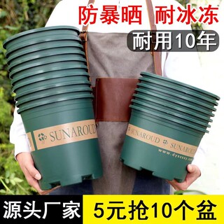 Flower pot household 2025 plastic resin succulent green radish gallon potted thickened breathable balcony durable planting desktop