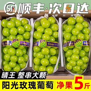 SF Spot Sunshine Rose Grape Fresh Fruit 5 Подарочная коробка Catties Qingwang Wang Wuyan Seal Seed Green