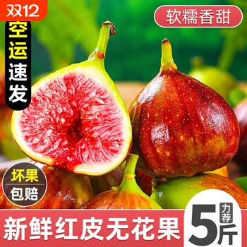 Fig fresh fruit fresh fruit 5jin jin is equal to 0.5kg freshly picked green and red skinned large fruit special season whole box