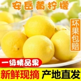 Sichuan Anyue Yellow Lemon 5 Catties Свежие фрукты выбирают тонкая кожа первого уровня фруктовый дух сладкий лимон прямой волосы кожа тонкая