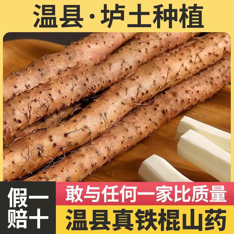 Wenxian loin soil iron bar yam fresh iron bar pregnant yam authentic Henan Jiaozuo hair straightening powder glutinous season health