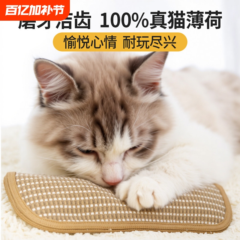 Cat Toy Catnip Pillow for Kittens, a Self-Entertainment and Boredom-Relief Gadget, a Pillow That Helps Expend Energy and Grind Teeth, Specifically for Cats