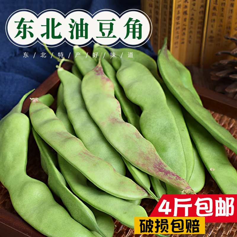 Northeast Oil Bean Corner A Little Red Fresh Vegetables Big Wide Oil Bean Corner Open Pan Lush Wide Lentils September Qing