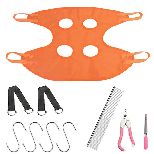 Красота для домашних животных собак и собака красавица