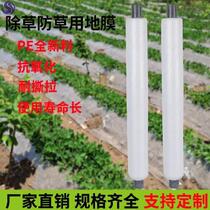 Vegetable garden plastic agricultural film rainproof cloth waterproof covering soil grafted vegetable film mulching greenhouse transparent cloth