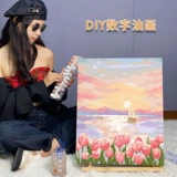 Цифровой акрил для рисования, масляная краска, «сделай сам», ручная роспись