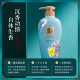 Y Page Materials, африканская женщина Xianzi Fiber  逶 逶 素 素 素 昧 昧 昧 昧 昧 昧 昧 昧