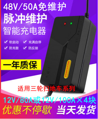 S1650 charger 1100 charger 48V50A charger 48V80A 100A charger pints