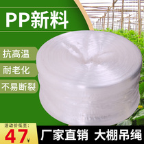 Han cast greenhouse special hanging rope vegetable hanging vine rope hanging rope nylon rope whole new material anti-aging and high temperature resistance