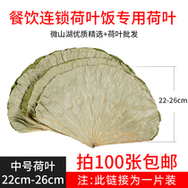 Medium natural dry lotus leaf whole lotus leaf rice steamed rice Rice called flower chicken Wanxiang lotus leaf catering supply a piece of clothing