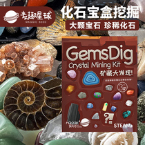  Maiqiu Planet childrens gem mining archaeological ore blind box puzzle collection toy hand-dug baby collection gift box