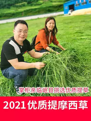 Timothy grass rabbit grain Hay Chinchen pasture timaxi rabbit food food grass Food Feed Feed