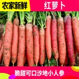 Песчаная фруктовая морковь красная кожа красное сердце Свежее и хрустящее сладкое песчаное гнездо сырое, есть морковные овощи с грязью 10