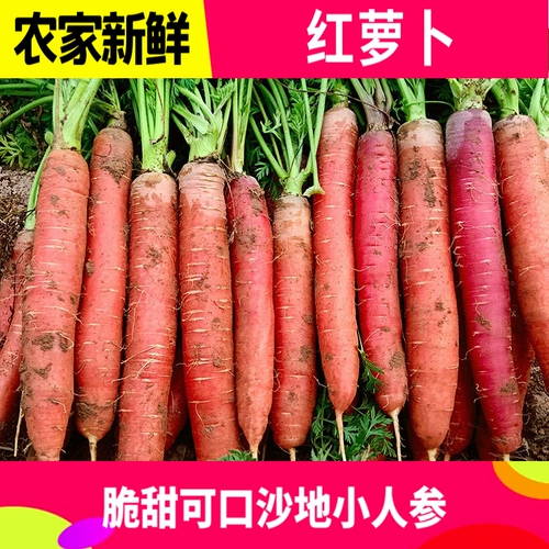 Песчаная фруктовая морковь красная кожа красное сердце Свежее и хрустящее сладкое песчаное гнездо сырое, есть морковные овощи с грязью 10