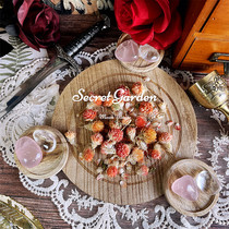 Hongqiaomei bulk selection of natural dried flowers and hay