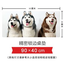 Pet dog two ha husky in two silly dog oversized lock edge office game table pad keyboard pad mouse pad