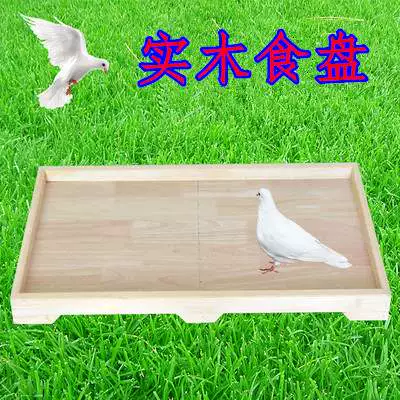 Pigeon cung cấp thiết bị, dụng cụ chim bồ câu, máng ăn tự động bằng gỗ nguyên khối bằng nhựa, đồ dùng nuôi chim bồ câu chống lây lan - Chim & Chăm sóc chim Supplies