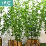 Искусственная шерстяная бамбуковая моделирование поддельные зеленые растения, приземленные большие горшечные крытые и наружные отделки экрана крыльца