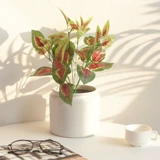 Зеленое симуляция завода стена бегония зеленая растительная стена с травяной стеной с комнатой зеленое украшение балконы телевизионная фоновая стена