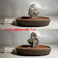 Фиолетовый 0111