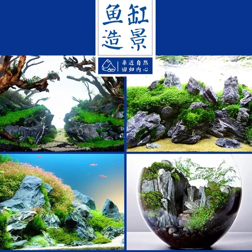 Рыба -танк натуральный синий камень Труба Большой Бонсай Сырой камень ландшафтный ландшафтный ландшафтный район Райный ручей Просмотр камней