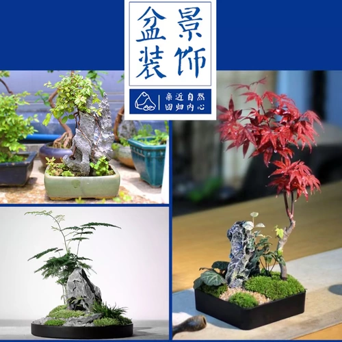 Рыба -танк натуральный синий камень Труба Большой Бонсай Сырой камень ландшафтный ландшафтный ландшафтный район Райный ручей Просмотр камней