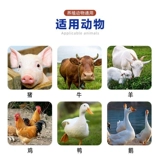 Живые бактерии Розовые звери, свиная скот, овца, курица, утка, гусь, желудок, устранение пищи, регулируют кишечный тракт, чтобы способствовать пищеварению и увеличению веса веса