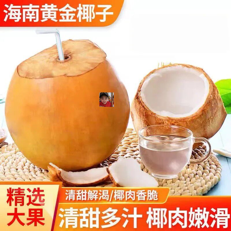 Green Fruits Fresh Hainan Gold Coconut Found Hair coconut with leather clear sweet and juicy coconut meat tender and smooth taste rich and delicious