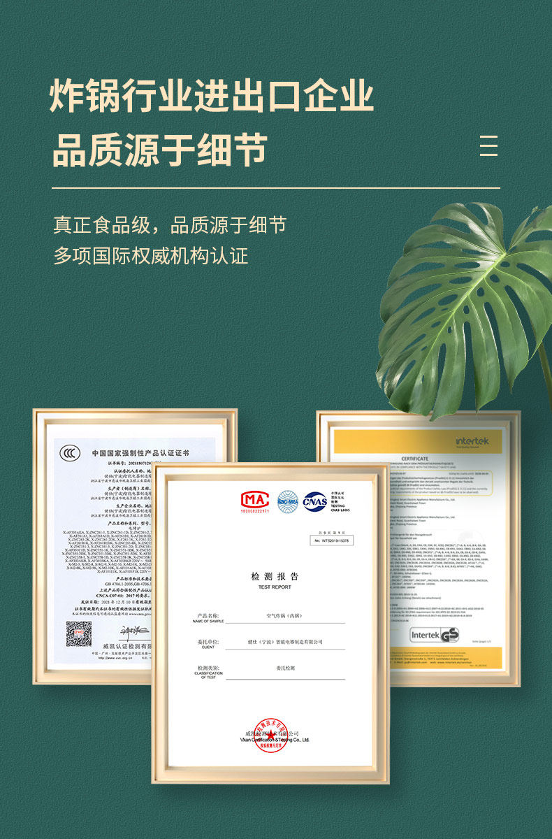 美国飞达仕 空气炸锅 5L大容量 图10