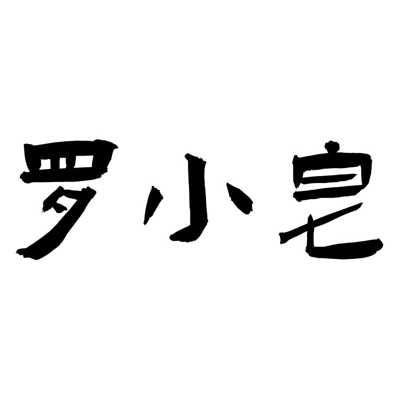 罗小皂品牌店的LOGO