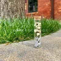 Белый Забудьте-не 3*12 см. Размер