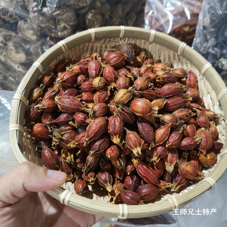 Nanxiong wild yellow gardenia dried mountain gardenia sun-dried pickles braised pork to make glutinous rice cake for coloring with dried gardenia 500g