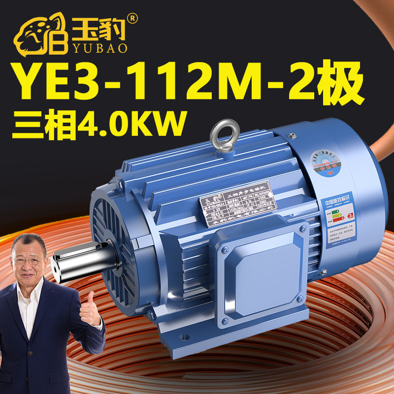 112M-2极全新YE3系列三相异步电动机国标4KW电机380V三相全铜