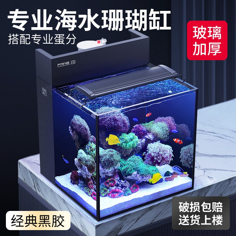 Square Small Aquarium with Back Filter, Complete Coral Tank Set for Beginners, Medium-Sized Desktop Aquarium for Living Room, Ultra-Clear Glass Fish Tank