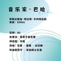 Musician Series Baja Fuji Coffee Single Product Coffee Beans 120g