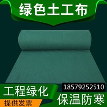 Green dust-resistant geotextile cloth 150200g green engineering cloth road maintenance reinforced felt non-woven manufacturer straight
