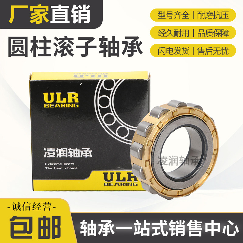 Sky Horse Reducer Eccentric bearings RN205 RN206 307207309312219222328M