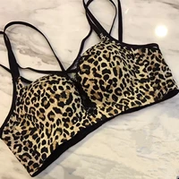 Однократная часть леопарда