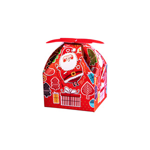 10个装圣诞节苹果盒包装手提盒