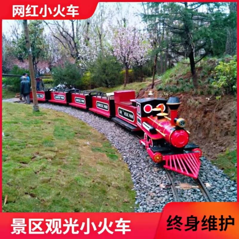 Scenic Spot Track Train Amusement Equipment Manufacturer Popular Project Multi-Person Outdoor Flower Field Electric Sightseeing Train