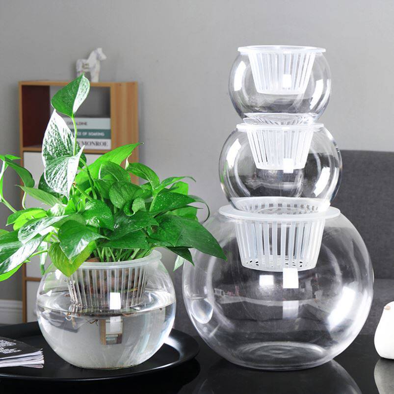 Water Basin Bookcase Oval Container Glass Basin White Palm Adoptive Flowers Plant Set Blue Hydroponic Glass Vase Fish Tank-Taobao