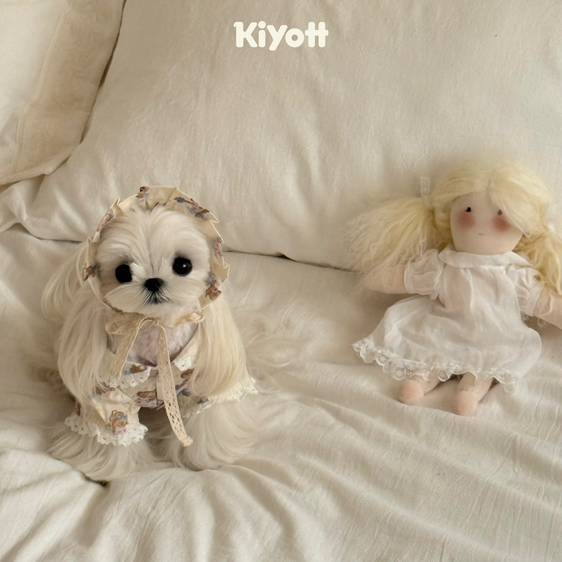 Kiyott Little Angel Lace Pajamas and Nightcap Two-Piece Set Pet Dog Clothes Home Pure Cotton Cartoon