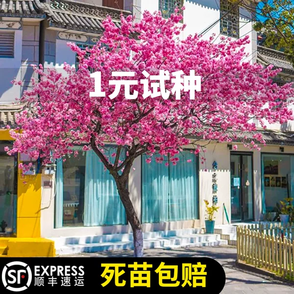 Товары от 心之路家居专营店