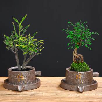 Succulent vegetarian fired simple ceramic flower pot stone pot home gardening plant succulent pot plant ge kiln utensils ornaments