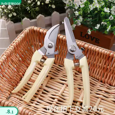 Stainless steel branch pruning shears picking fruit flower and wood scissors garden fruit tree flower branch grafting gardening scissors tool