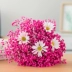 Gypsophila bó hoa khô trang trí phòng khách bình hoa cắm hoa trang trí nhà để bàn trang trí tự nhiên hoa bất tử bó hoa bất tử - Vase / Bồn hoa & Kệ